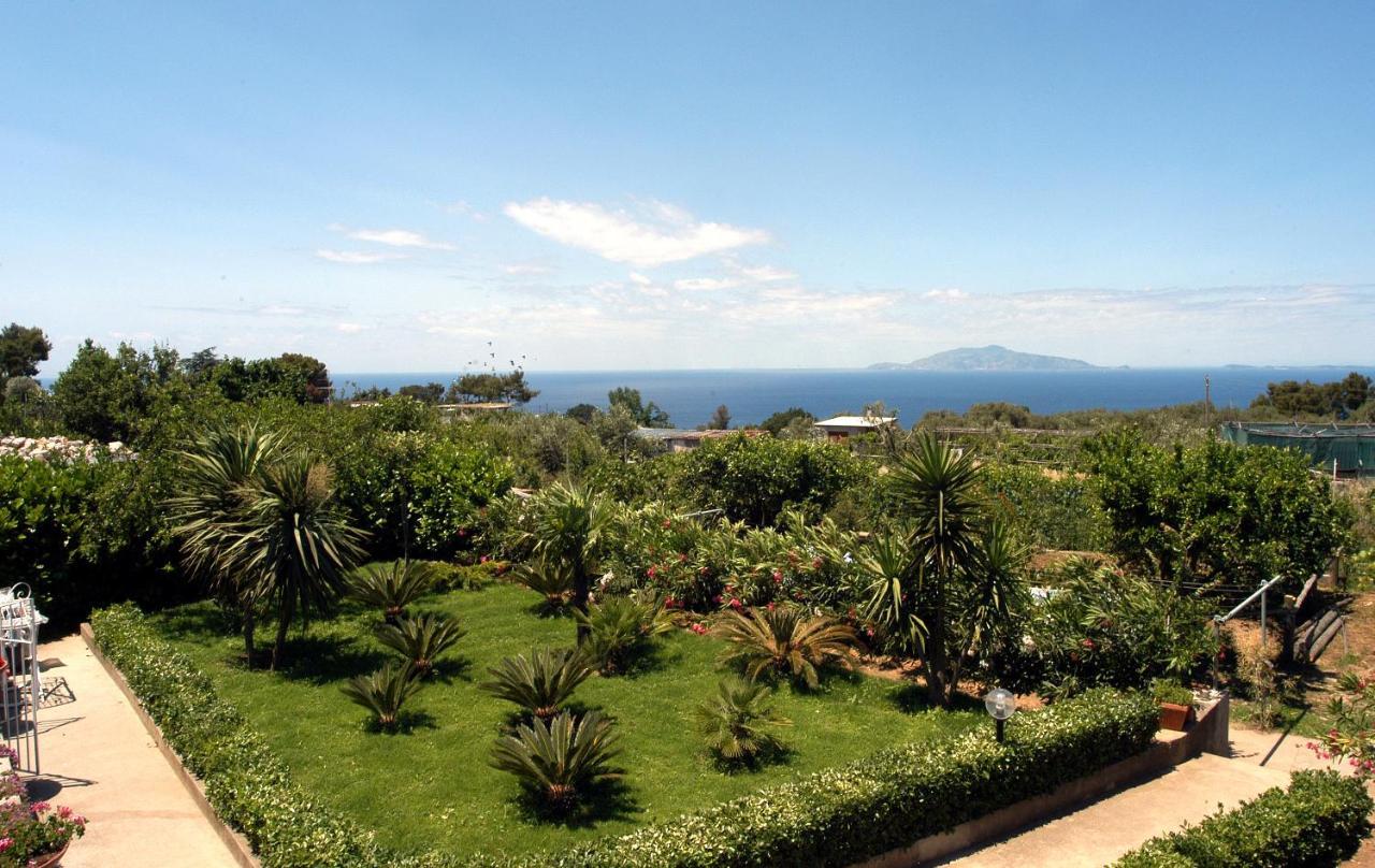 Villa Damecuta B&B Anacapri  Extérieur photo