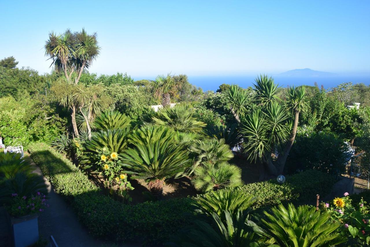 Villa Damecuta B&B Anacapri  Extérieur photo
