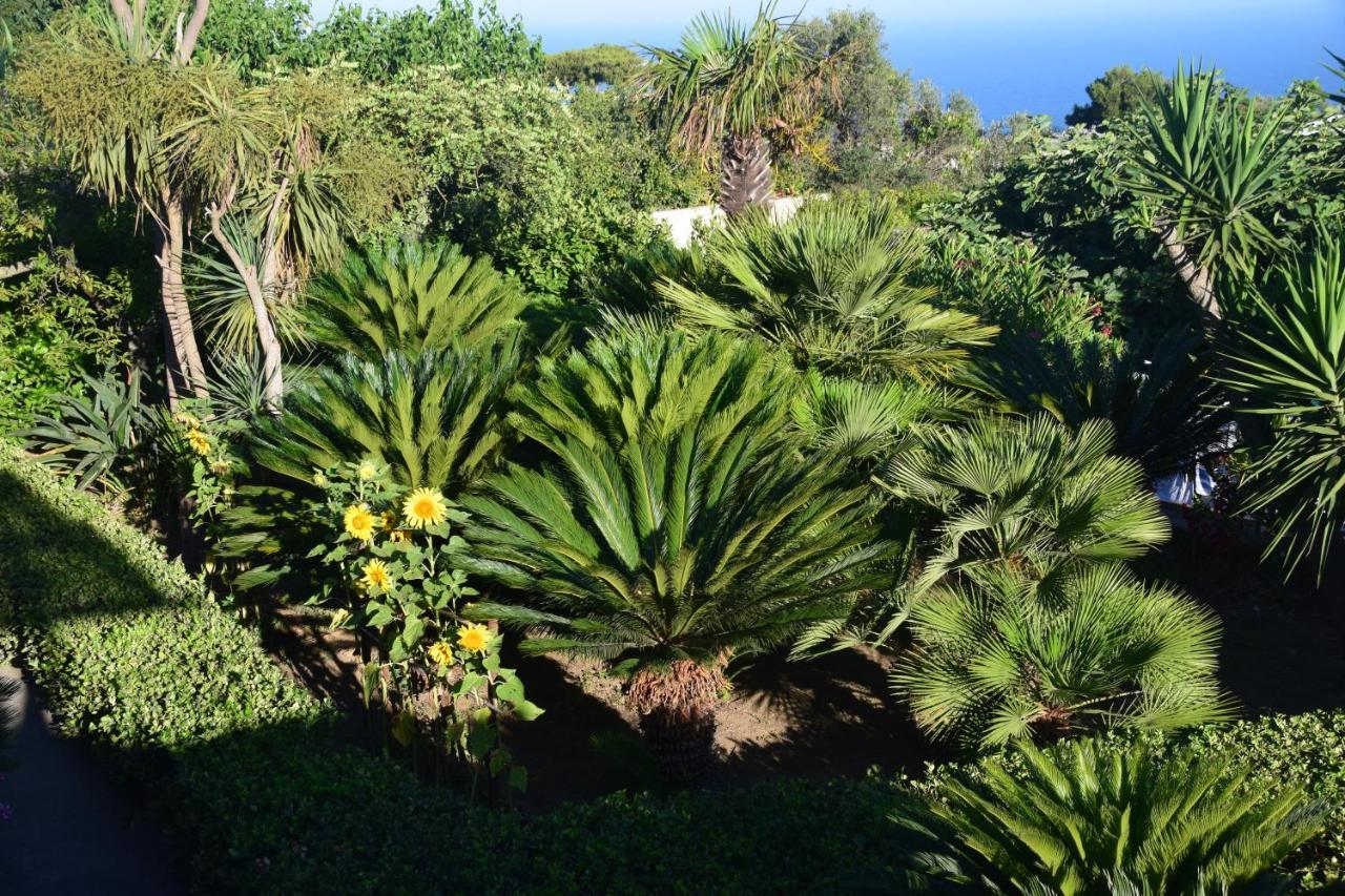 Villa Damecuta B&B Anacapri  Extérieur photo