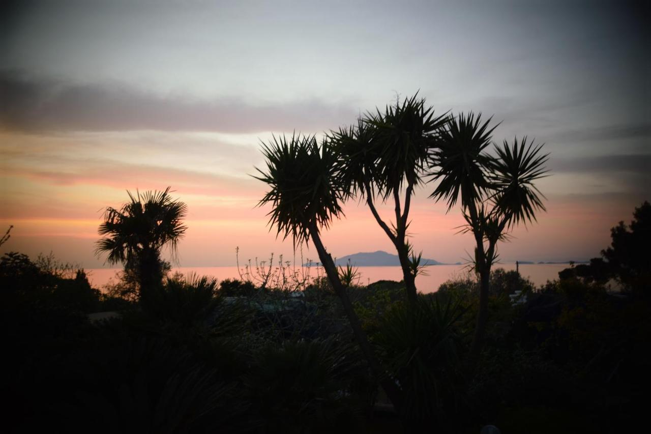 Villa Damecuta B&B Anacapri  Extérieur photo