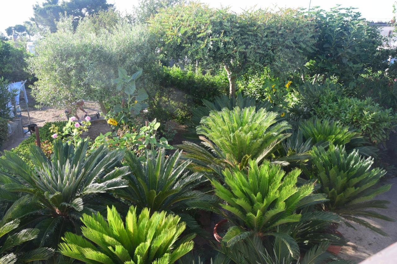 Villa Damecuta B&B Anacapri  Extérieur photo